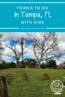 Things To Do In Tampa With Kids - Family Travel Magazine