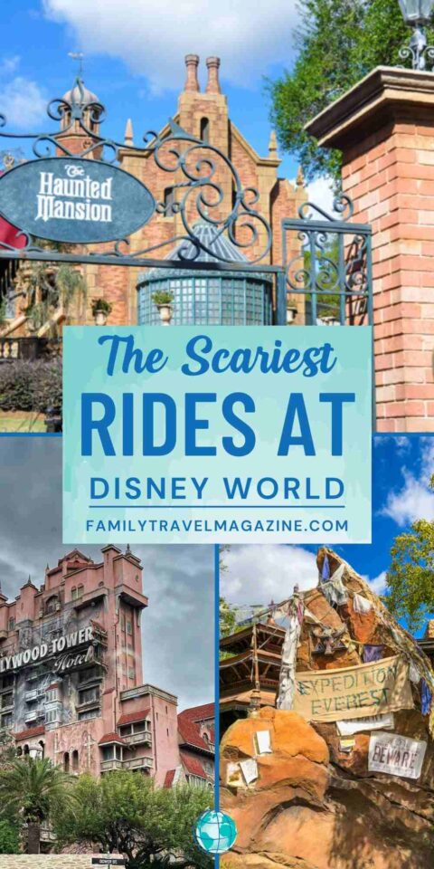 The Scariest Rides at Disney World - Family Travel Magazine