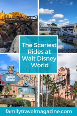 The Scariest Rides at Disney World - Family Travel Magazine