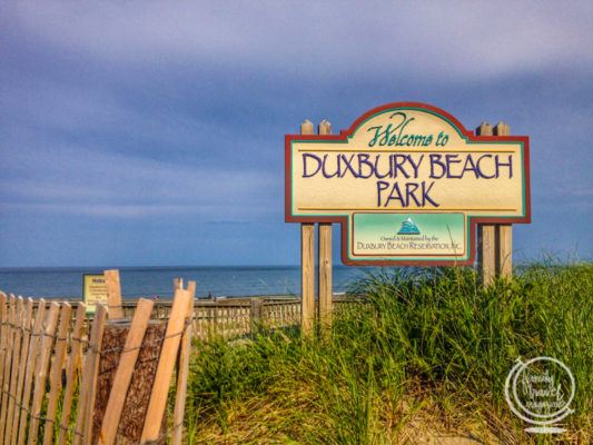 17+ of The Best Beaches in New England - Family Travel Magazine