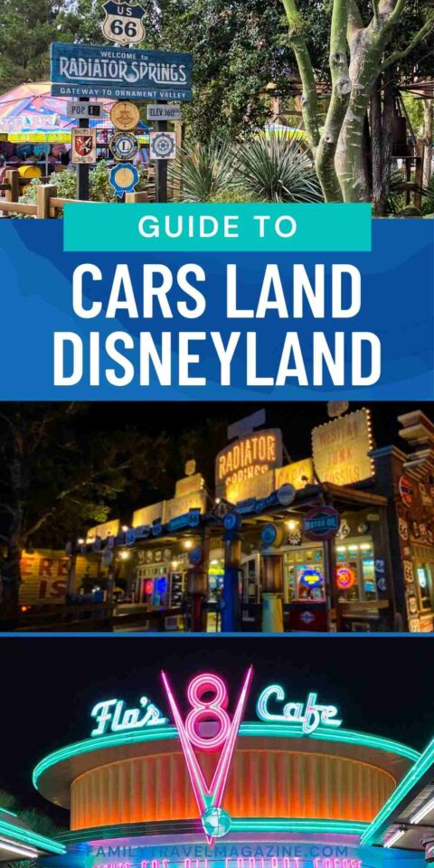 Don't Visit Cars Land: Disneyland Resort Without Reading Our Guide ...