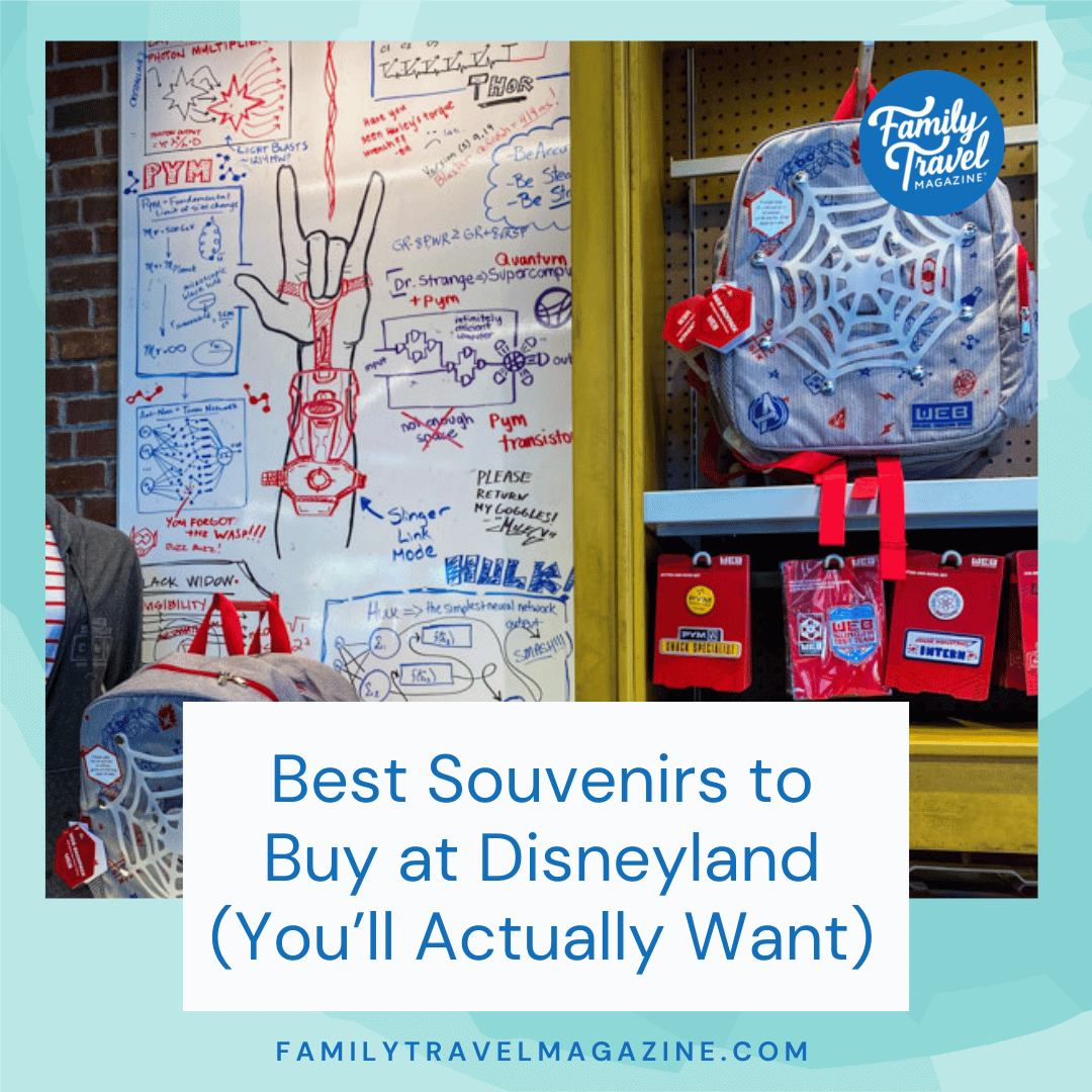 Best Souvenirs to Buy at Disneyland (You'll Actually Want) Family Travel Magazine