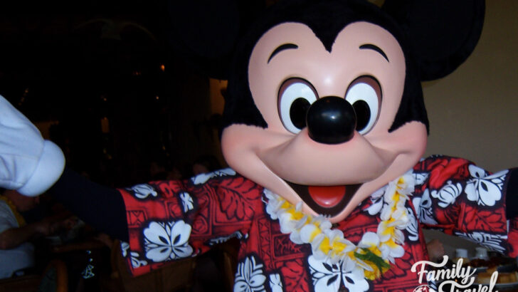 Mickey in Hawaiian shirt with lei