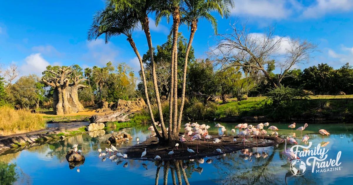 Flamingos around a tree