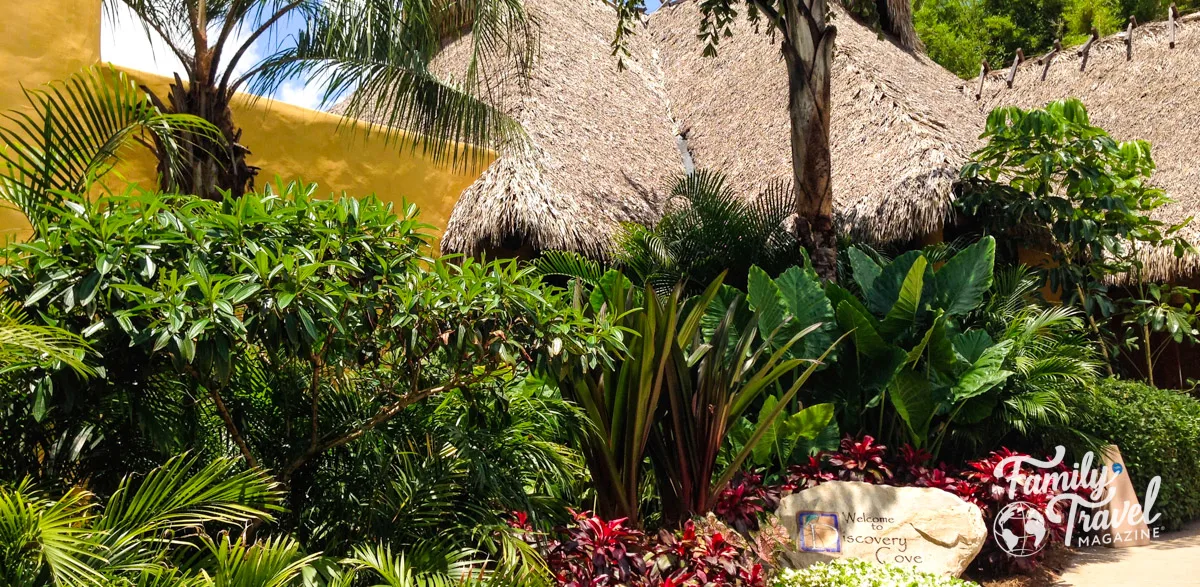 Lush plants and trees at entrance of Discovery Cove with thatched roofs in the background