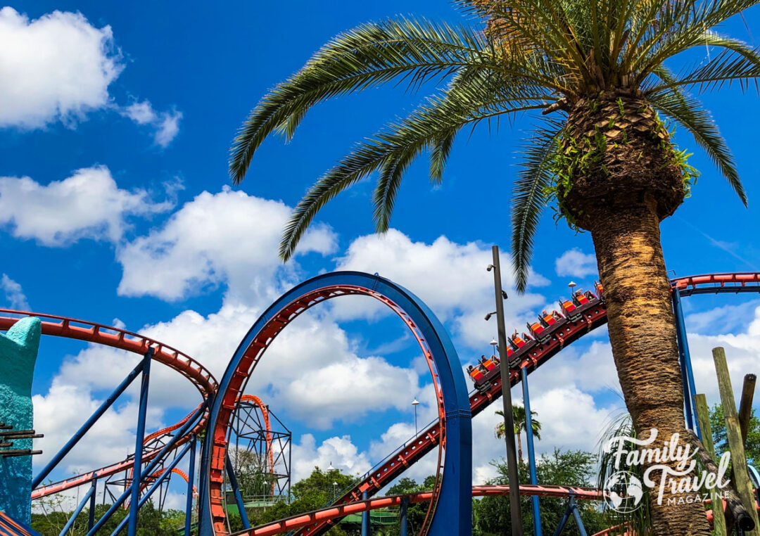 A Guide To Busch Gardens Tampa Rides - Family Travel Magazine