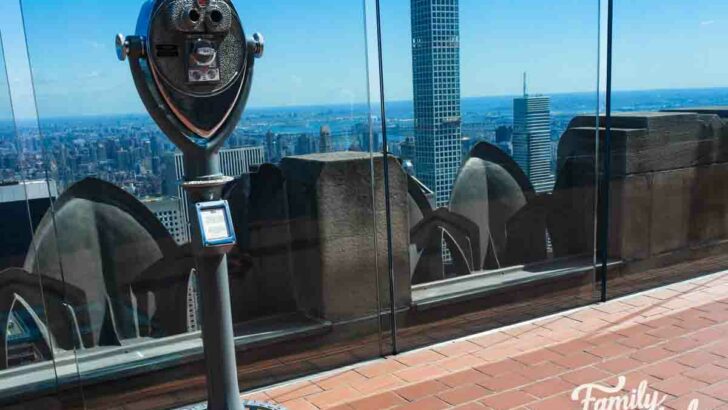 Tower viewer on observation deck