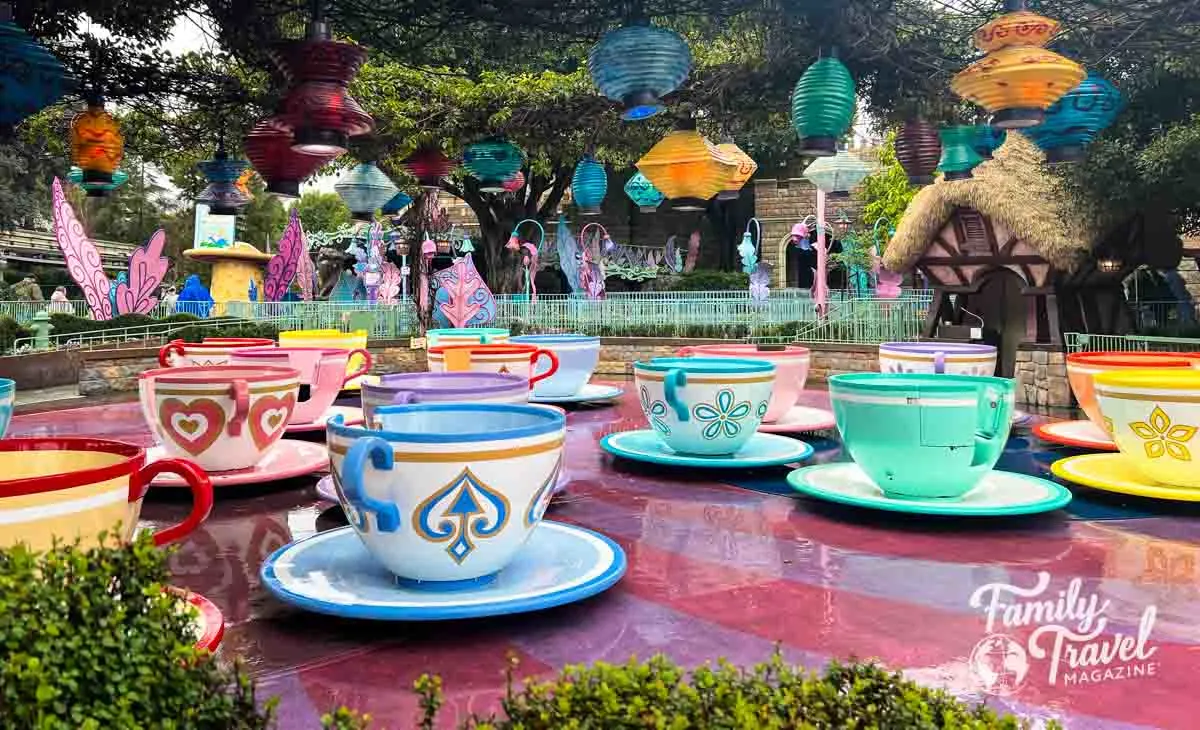 Empty teacups in the rain 