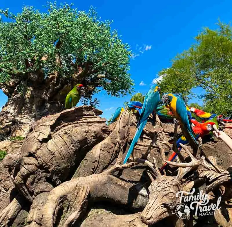 Colorful birds on carved rock formation