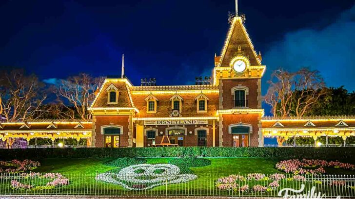 Disneyland Railroad Station at night