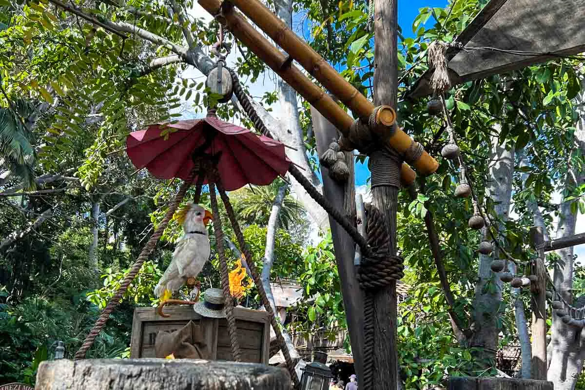 Jungle cruise bird on box 