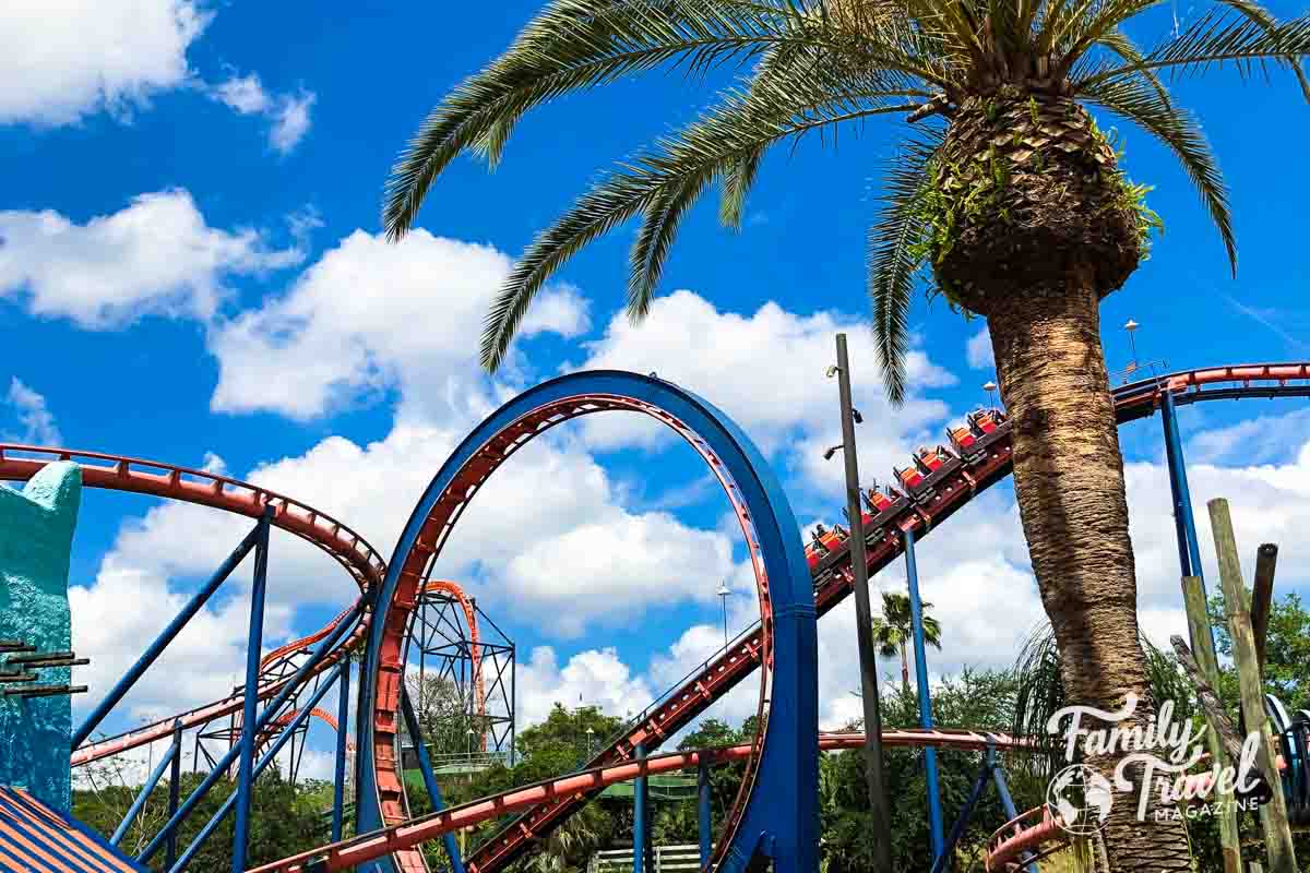 Loop coaster with palm trees in foreground