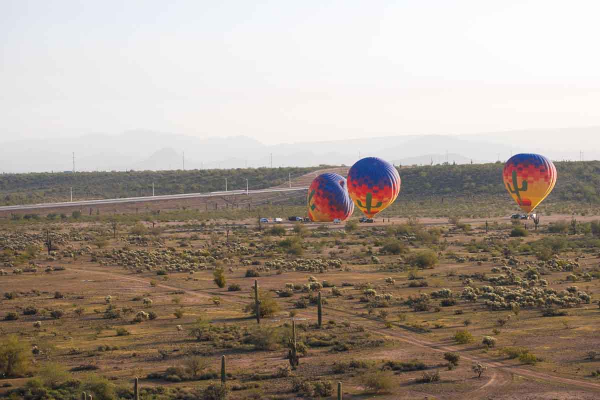 hot air balloons in field