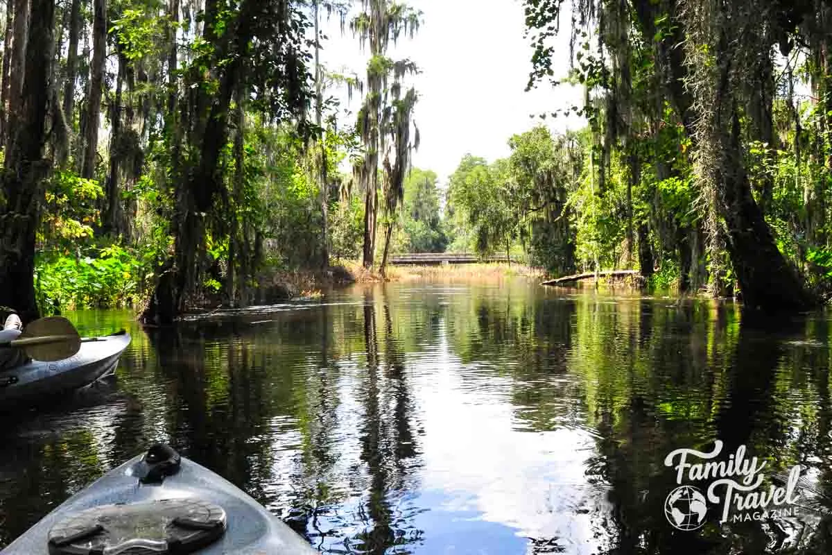 Kayak in water with trees