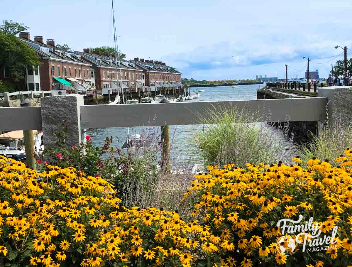 Yellow flowers in front of Harbor with buildings along the side