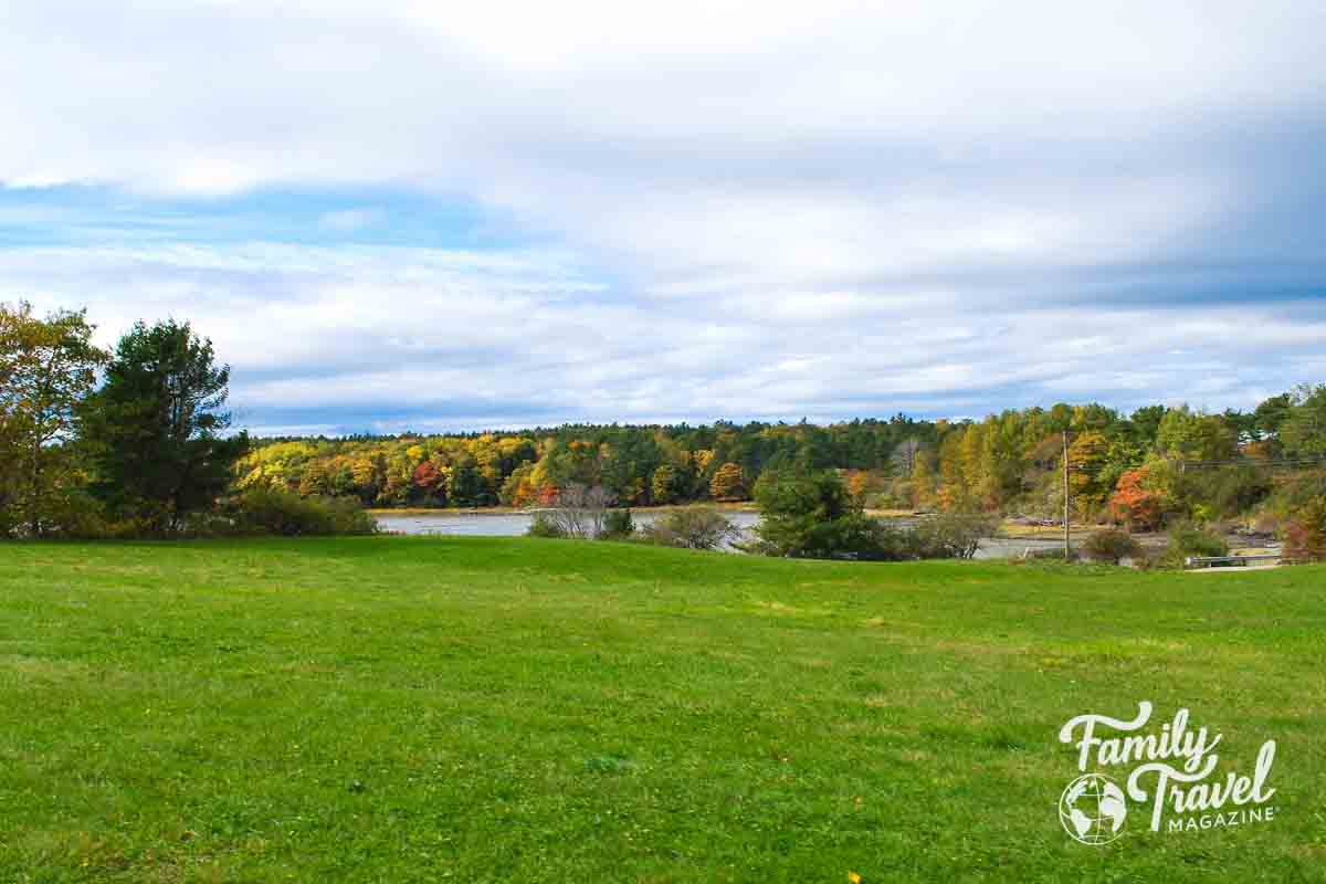 small pond area in the fall surrounded by trees