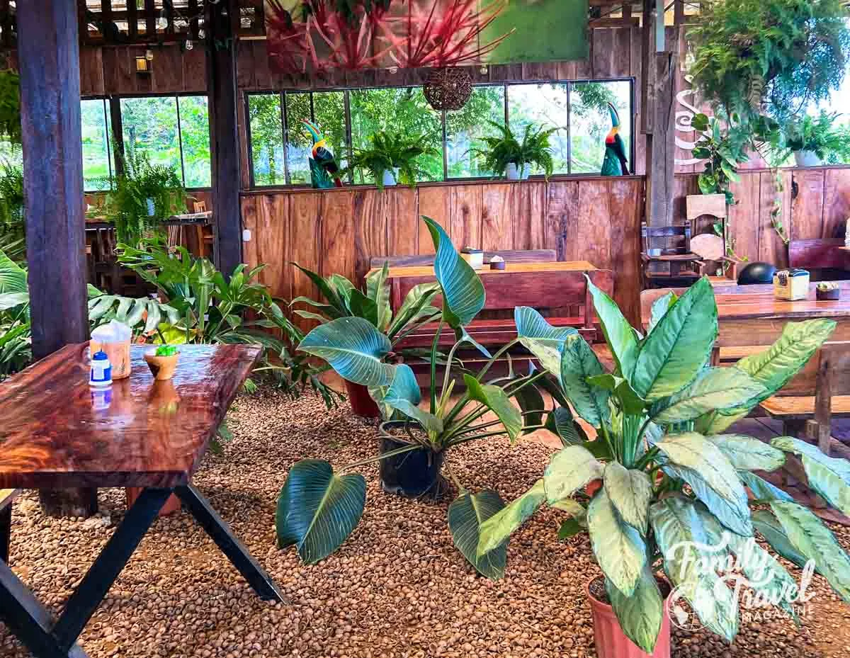 Tables and plants in patio room of cafe