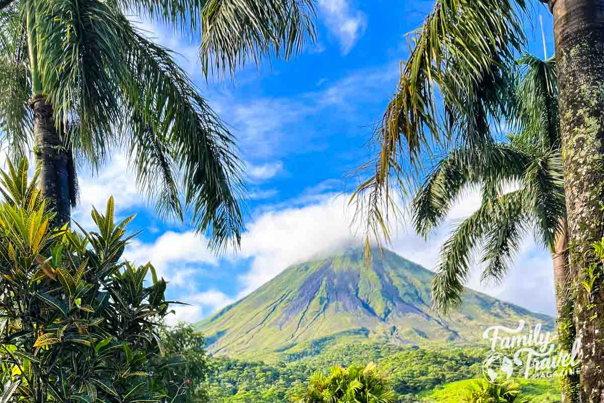 Arenal Volcano framed by palm trees