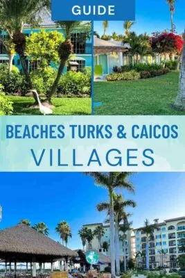 Long neck bird in front of building, other Caribbean-styled buildings surrounded by tropical trees.