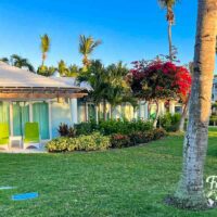 Small buildings at Beaches with trees and plants