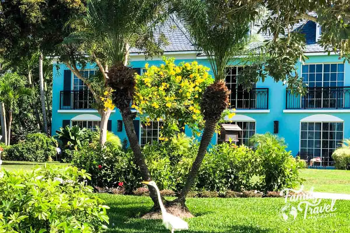 Blue building with long neck bird in foreground