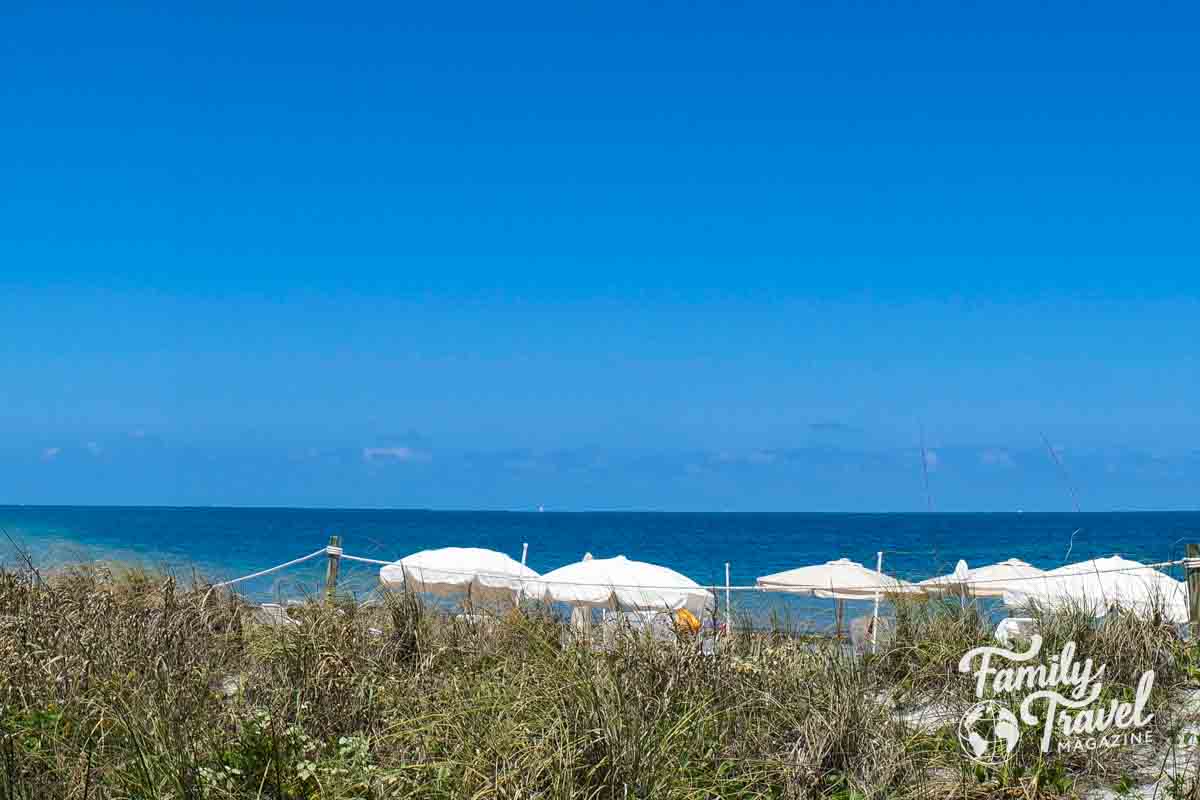 White beach umbrellas in front of beach grass by the water