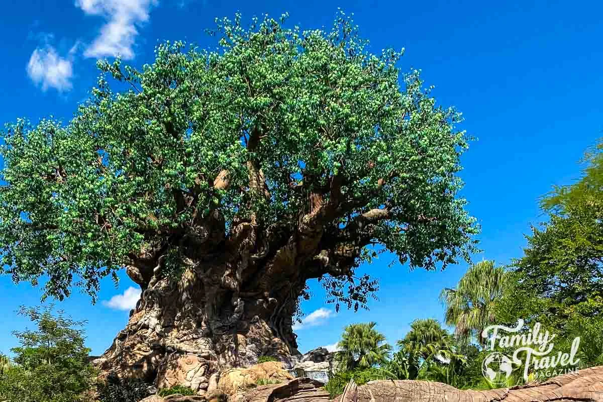 Animal Kingdom carved tree of life