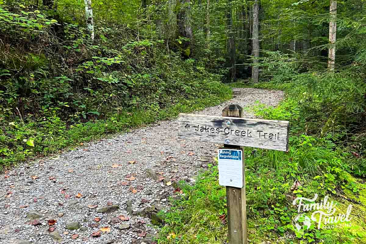 Hiking path with sign in the woods