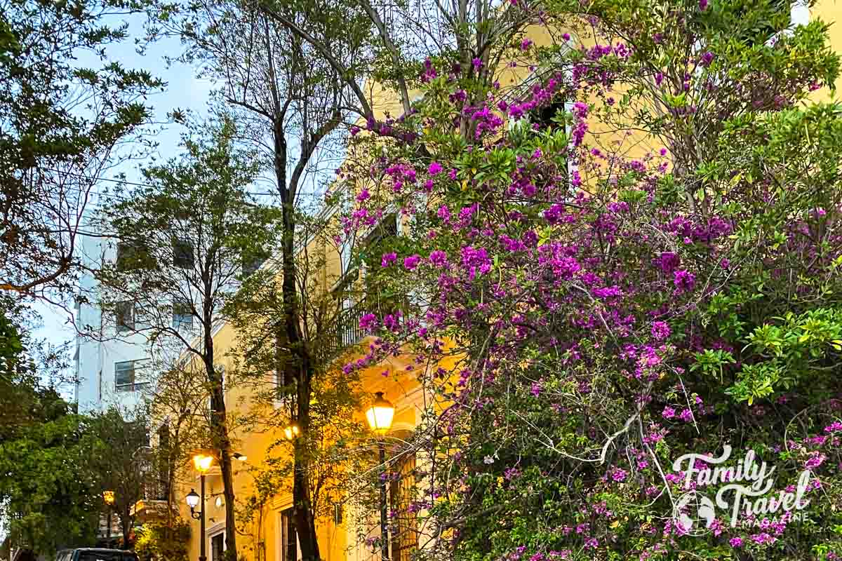 Trees and flowers in front of yellow building