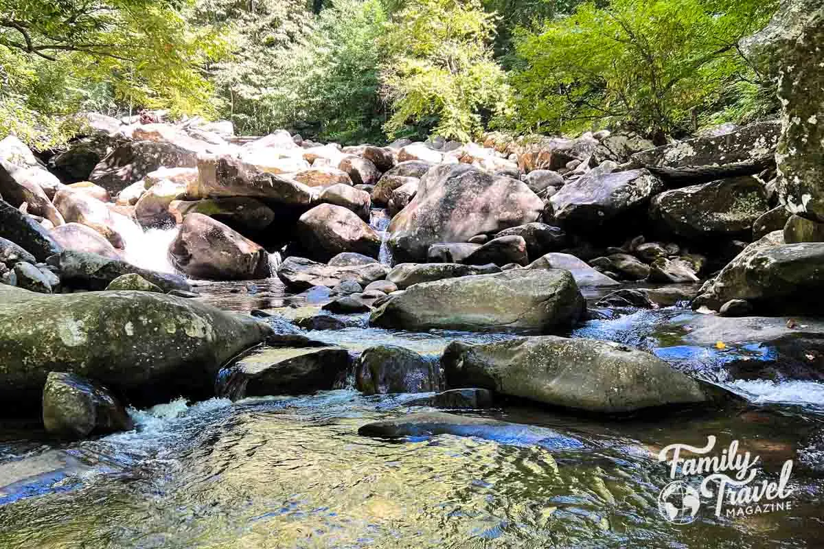 stream with rocks among the trees