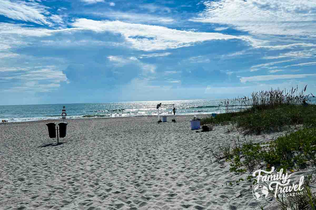 Beach with greenery and ocean 