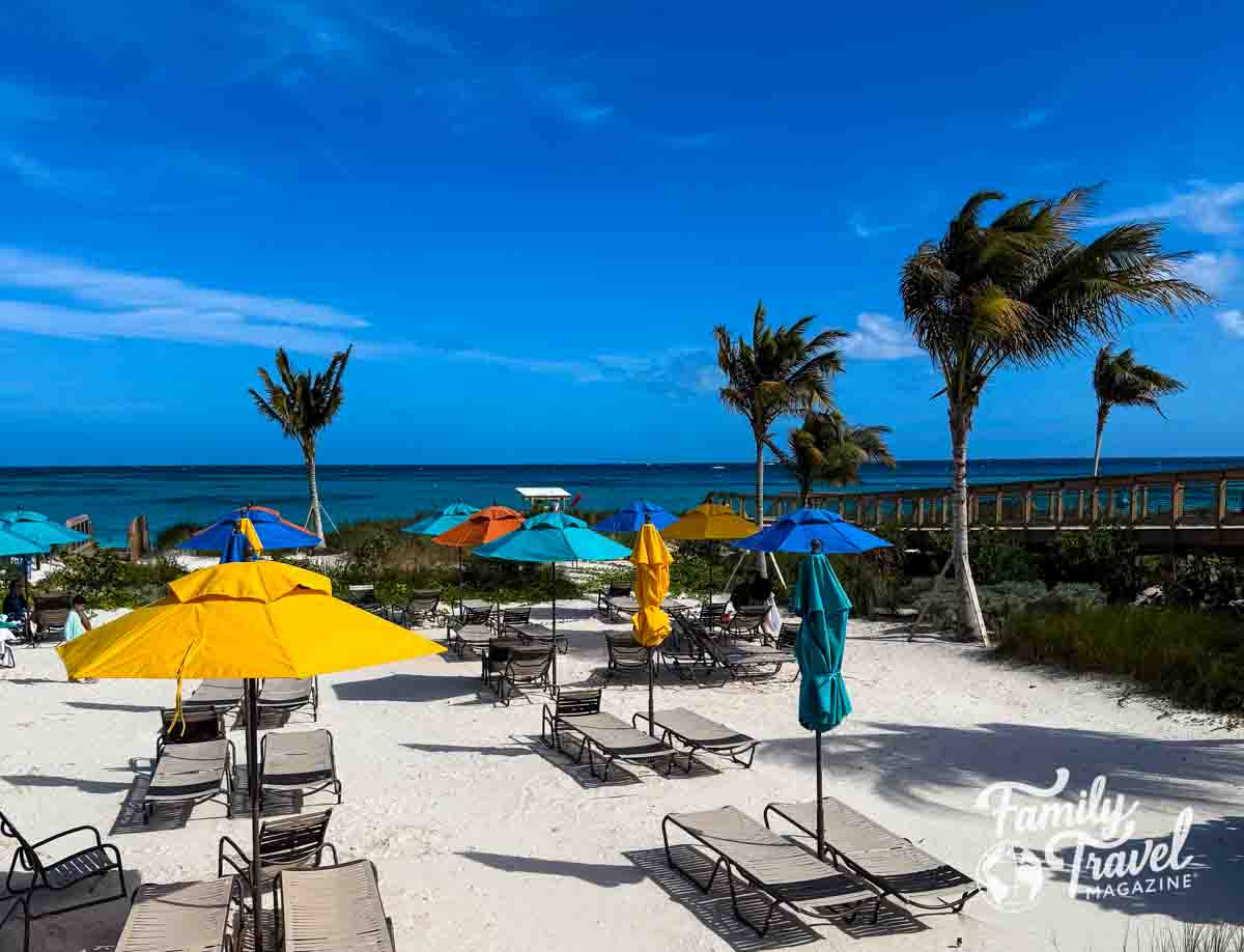 Beach with umbrellas, beach chairs, and palm trees