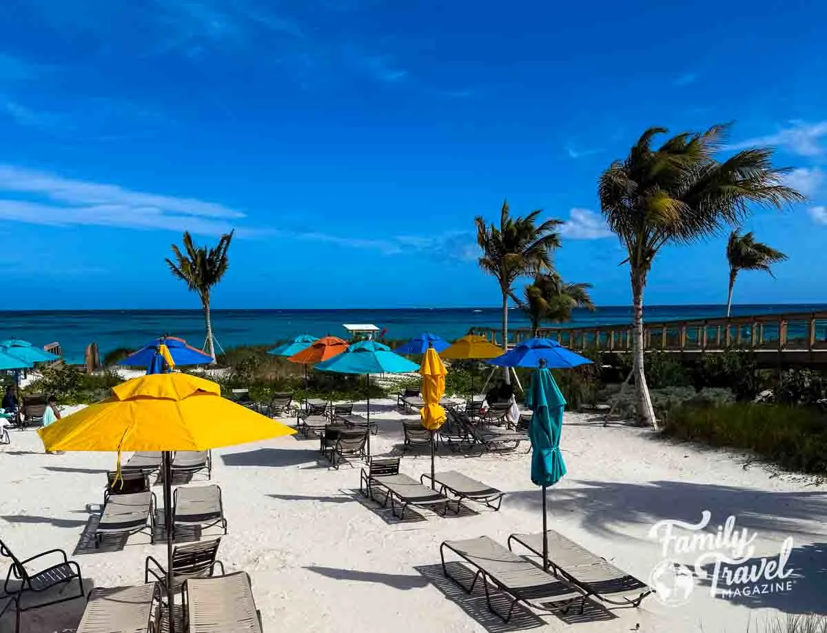 Beach with umbrellas, beach chairs, and palm trees